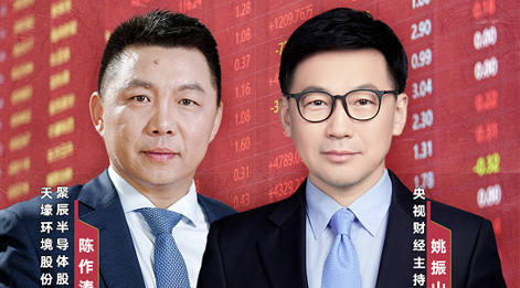 聚辰股份董事長陳作濤先生應(yīng)邀做客央視財經(jīng)《財訪·看財報》訪談直播，解讀公司年報